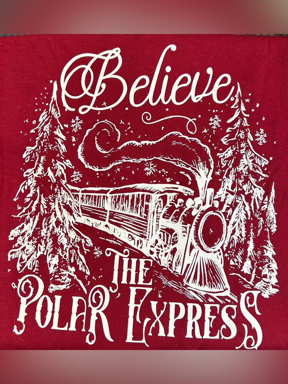 "Believe" Polar Express Graphic Tee - Gildan